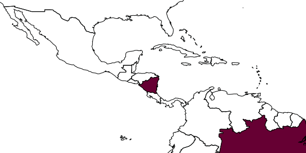 map of Anisepyris cirdani     Barbosa & Azevedo, 2018